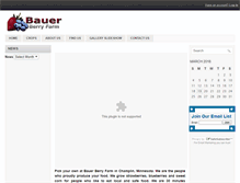 Tablet Screenshot of bauerberry.com